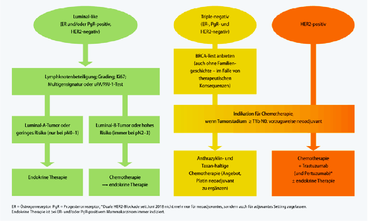 Brustkrebs-Behandlung – Brustkrebs Mammakarzinom